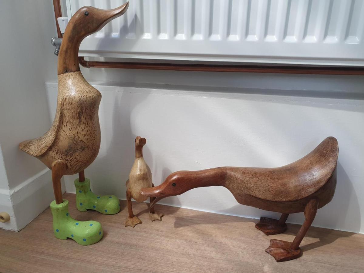 Boots Cottage Bude Zewnętrze zdjęcie